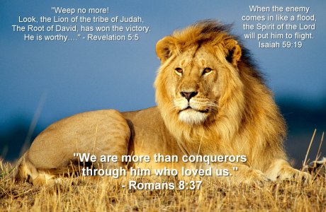 460-Lion-Scripture.jpg